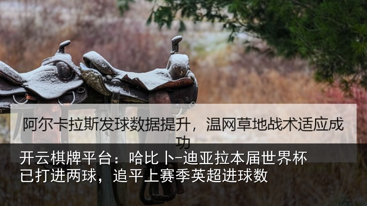 开云棋牌平台：哈比相关情况杯已相关情况季英超进球数