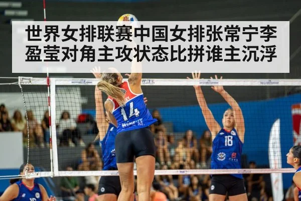 volleyball match action